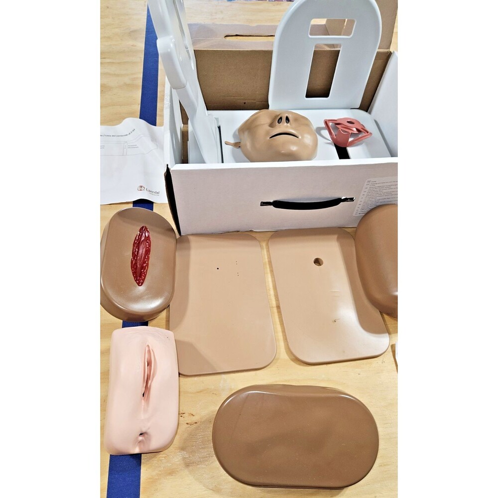 Laerdal Modular Skills Trainer MST Nursing Medical Simulation Manikin Kit Set - Picture 5 of 11